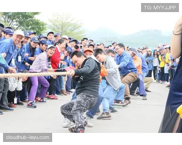 瑞士球迷高举红十字旗帜，凝聚团结力量彰显体育精神